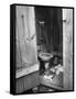 Toilet in Outhouse in Slum Area a Few Blocks from the Capital in Washington, Dc-Carl Mydans-Framed Stretched Canvas