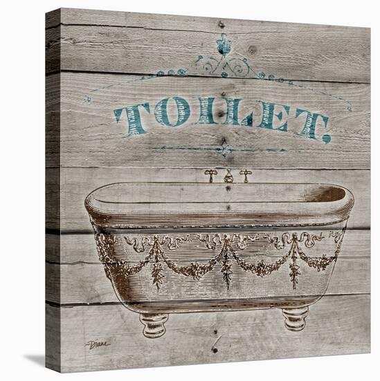 Toilet-Diane Stimson-Stretched Canvas