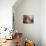 Toilette de Venus-Henri Fantin-Latour-Stretched Canvas displayed on a wall