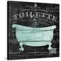 Toilette-Stimson, Diane Stimson-Stretched Canvas