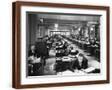 Brown Frame