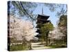 Toji Pagoda, Unesco World Heritage Site, Spring Cherry Blossom, Kyoto City, Honshu Island, Japan-Christian Kober-Stretched Canvas