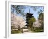Toji Pagoda, Unesco World Heritage Site, Spring Cherry Blossom, Kyoto City, Honshu Island, Japan-Christian Kober-Framed Photographic Print