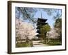 Toji Pagoda, Unesco World Heritage Site, Spring Cherry Blossom, Kyoto City, Honshu Island, Japan-Christian Kober-Framed Photographic Print