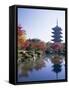 Toji Temple, Kyoto, Japan-Steve Vidler-Framed Stretched Canvas