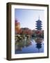 Toji Temple, Kyoto, Japan-Steve Vidler-Framed Photographic Print