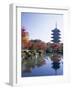 Toji Temple, Kyoto, Japan-Steve Vidler-Framed Photographic Print