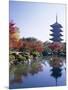 Toji Temple, Kyoto, Japan-Steve Vidler-Mounted Photographic Print