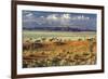 Tok Tokkie Desert-Marc Pelissier-Framed Photographic Print