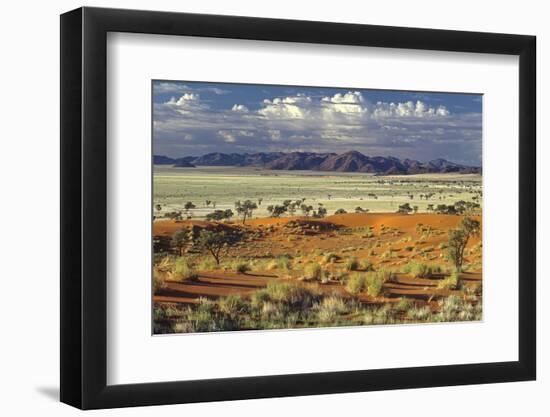 Tok Tokkie Desert-Marc Pelissier-Framed Photographic Print