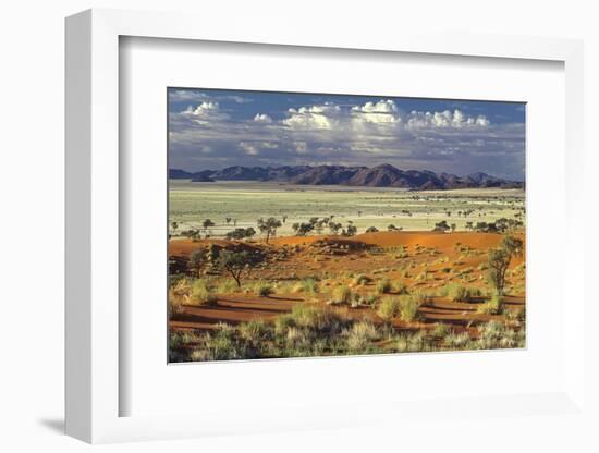 Tok Tokkie Desert-Marc Pelissier-Framed Photographic Print