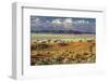 Tok Tokkie Desert-Marc Pelissier-Framed Photographic Print