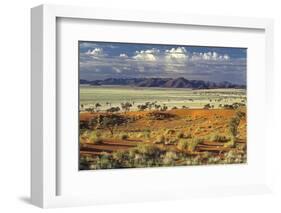 Tok Tokkie Desert-Marc Pelissier-Framed Photographic Print