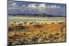 Tok Tokkie Desert-Marc Pelissier-Mounted Photographic Print