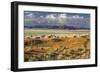 Tok Tokkie Desert-Marc Pelissier-Framed Photographic Print