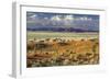 Tok Tokkie Desert-Marc Pelissier-Framed Photographic Print