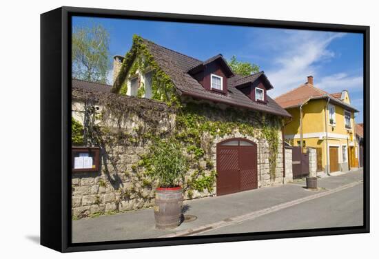 Tokaj-kobby_dagan-Framed Stretched Canvas