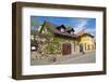 Tokaj-kobby_dagan-Framed Photographic Print