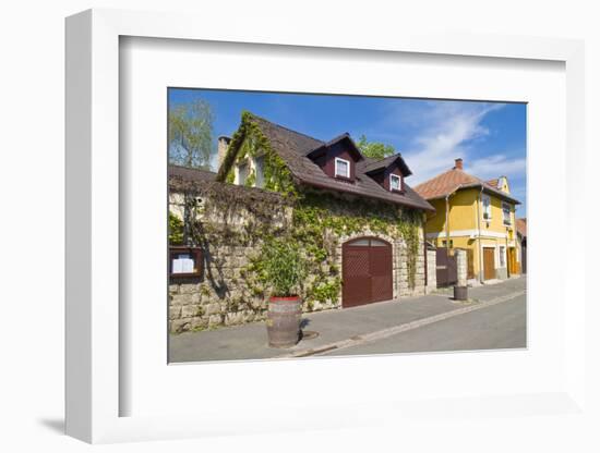 Tokaj-kobby_dagan-Framed Photographic Print