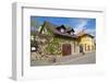 Tokaj-kobby_dagan-Framed Photographic Print