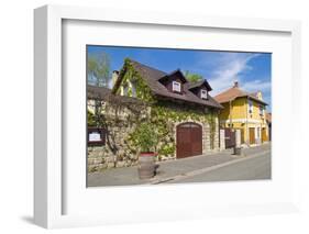 Tokaj-kobby_dagan-Framed Photographic Print