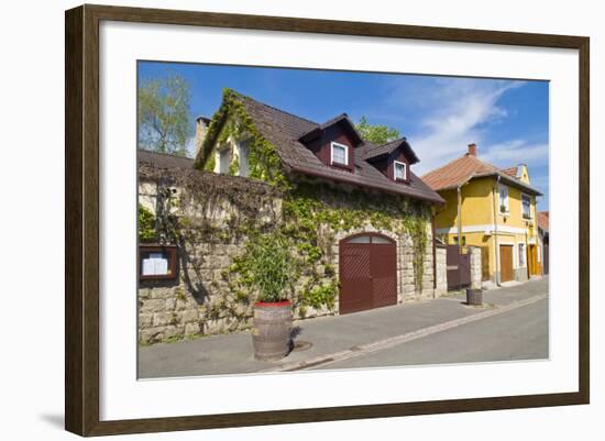 Tokaj-kobby_dagan-Framed Photographic Print