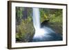 Toketee Falls, Autumn, Umpqua National Forest, Oregon, Usa-Michel Hersen-Framed Photographic Print