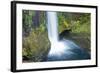 Toketee Falls, Autumn, Umpqua National Forest, Oregon, Usa-Michel Hersen-Framed Photographic Print