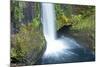 Toketee Falls, Autumn, Umpqua National Forest, Oregon, Usa-Michel Hersen-Mounted Photographic Print