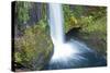 Toketee Falls, Autumn, Umpqua National Forest, Oregon, Usa-Michel Hersen-Stretched Canvas