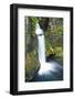 Toketee Falls, Autumn, Umpqua National Forest, Oregon, Usa-Michel Hersen-Framed Photographic Print