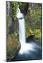 Toketee Falls, Autumn, Umpqua National Forest, Oregon, Usa-Michel Hersen-Mounted Photographic Print