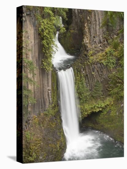 Toketee Falls in Douglas County, Oregon, USA-William Sutton-Stretched Canvas