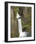 Toketee Falls in Douglas County, Oregon, USA-William Sutton-Framed Photographic Print