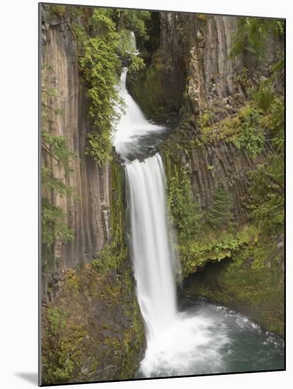 Toketee Falls in Douglas County, Oregon, USA-William Sutton-Mounted Photographic Print