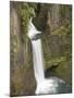 Toketee Falls in Douglas County, Oregon, USA-William Sutton-Mounted Photographic Print