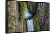 Toketee Falls runs over basalt columns in the Umpqua National Forest, Oregon, USA-Chuck Haney-Framed Stretched Canvas