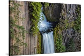 Toketee Falls runs over basalt columns in the Umpqua National Forest, Oregon, USA-Chuck Haney-Stretched Canvas