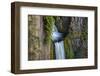 Toketee Falls runs over basalt columns in the Umpqua National Forest, Oregon, USA-Chuck Haney-Framed Photographic Print