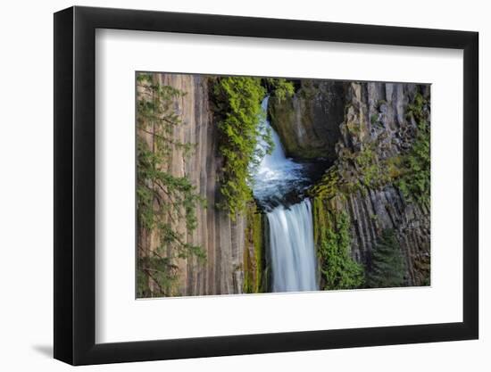 Toketee Falls runs over basalt columns in the Umpqua National Forest, Oregon, USA-Chuck Haney-Framed Photographic Print