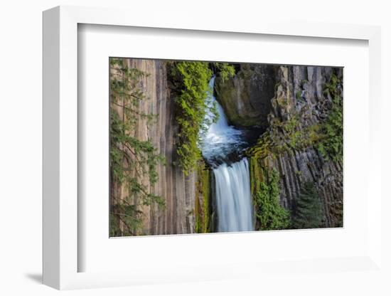 Toketee Falls runs over basalt columns in the Umpqua National Forest, Oregon, USA-Chuck Haney-Framed Photographic Print