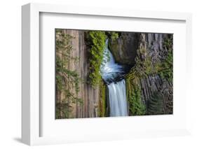 Toketee Falls runs over basalt columns in the Umpqua National Forest, Oregon, USA-Chuck Haney-Framed Photographic Print