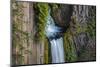 Toketee Falls runs over basalt columns in the Umpqua National Forest, Oregon, USA-Chuck Haney-Mounted Photographic Print