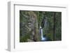 Toketee Falls runs over basalt columns in the Umpqua National Forest, Oregon, USA-Chuck Haney-Framed Photographic Print