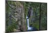 Toketee Falls runs over basalt columns in the Umpqua National Forest, Oregon, USA-Chuck Haney-Mounted Photographic Print