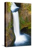 Toketee Falls, Umpqua National Forest, Oregon, Usa-Russ Bishop-Stretched Canvas