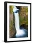 Toketee Falls, Umpqua National Forest, Oregon, Usa-Russ Bishop-Framed Photographic Print