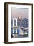 Tokyo Bay at Rainbow Bridge and Tokyo Tower-Torsakarin-Framed Photographic Print