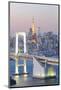 Tokyo Bay at Rainbow Bridge and Tokyo Tower-Torsakarin-Mounted Photographic Print