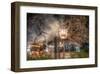 Tokyo Cherry Blossom Festival-null-Framed Art Print